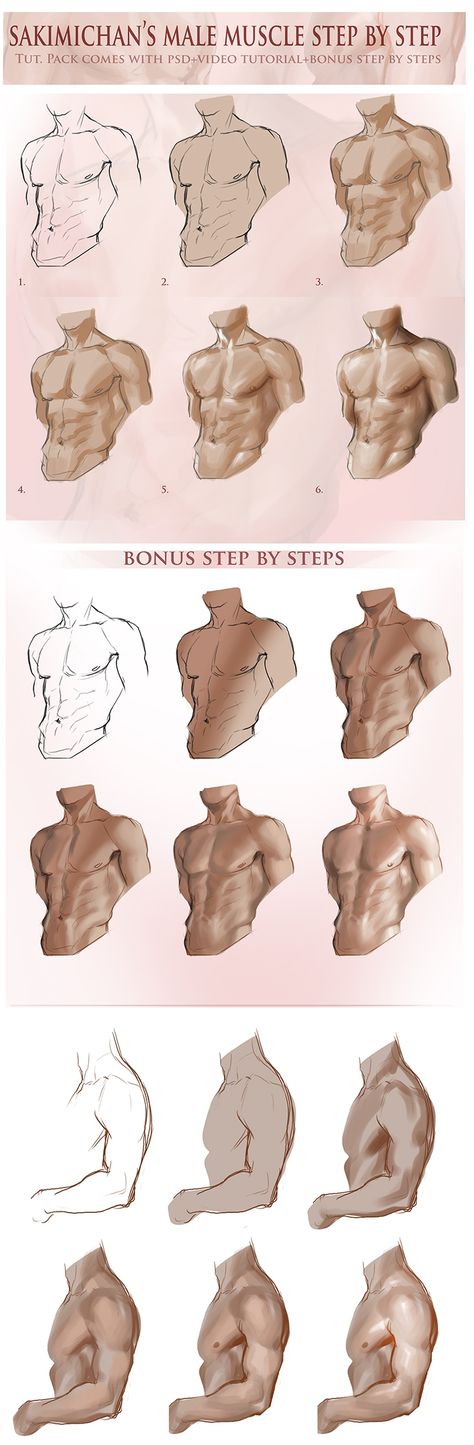 Cartoon Model, Anatomy Tutorial, Male Torso, Anatomy Sketches, Digital Painting Tutorials, Anatomy Drawing, Poses References, Anatomy Reference, Anatomy Art