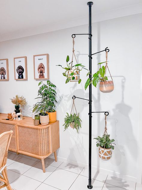 Plant Pole, Plant Hanging, Hanging Plants Indoor, Indoor Jungle, House Plants Decor, Urban Oasis, Room Size, Plant Design, Urban Jungle