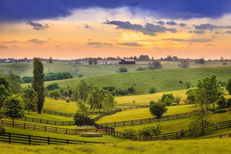 17 Most Beautiful Places To Visit In Kentucky - GlobalGrasshopper Kentucky Landscape, Kentucky Horse Farms, Best Place To Live, Kentucky Bourbon Trail, Kentucky Travel, Red River Gorge, Places To Live, Farm Tour, States In America