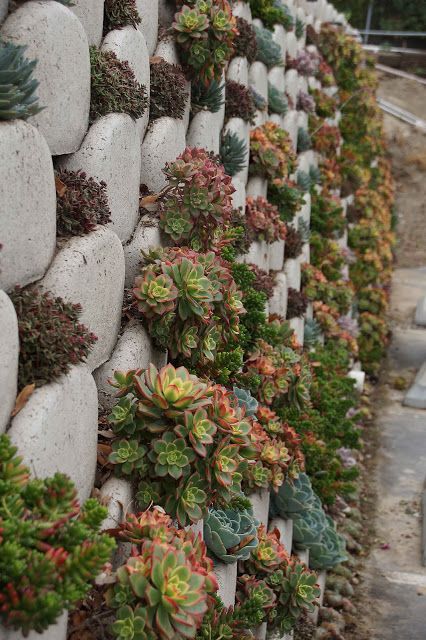 Sloping Gardens, Succulent Wall Garden, Wall Landscape, Succulent Wall Planter, Garden Retaining Wall, Garden Wall Designs, Landscaping Retaining Walls, Vertical Garden Wall, Vertical Planter