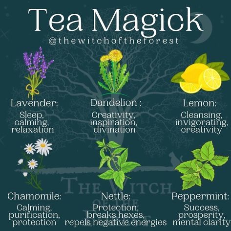 Tea Magick, Tea Blends Recipes, Herbal Tea Garden, Kitchen Witch Recipes, Herbal Education, Witch Herbs, Magia Das Ervas, Herbal Teas Recipes, Magic Herbs