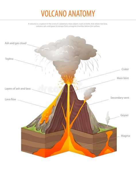 Volcano Cross Section, Education Poster Vector Stock Vector ... Volcano Anatomy, Volcanoes Drawing, Volcano Diagram, Volcano Poster, About Volcano, Volcano Drawing, Tectonic Plate Boundaries, Volcano Projects, Volcano Activities