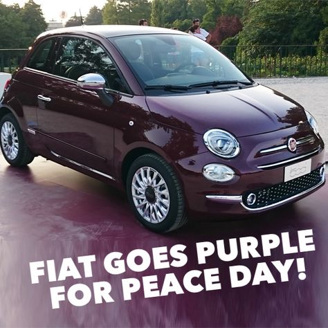 Today is wear purple for peace day! Join us in going purple today! #WearPurpleForPeaceDay #MossyFiat Purple Fiat 500, Green Fiat 500, Blue Fiat 500, Purple Vintage Car, Driving Fiat 500, Fiat 500 Car, Fiat 500c, New Fiat, Fiat Cars