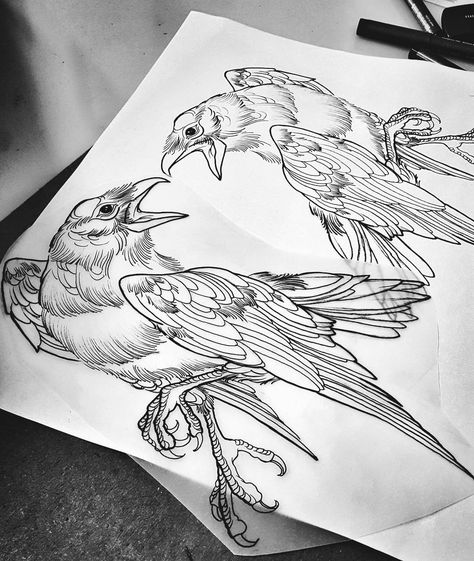 Line work raven tattoo Odin's Ravens Tattoo, Natur Tattoo Arm, Tattoo Outline Drawing, Crow Tattoo, Omerta Tattoo, Raven Tattoo, Crow Art, Drawing Stencils, Geniale Tattoos