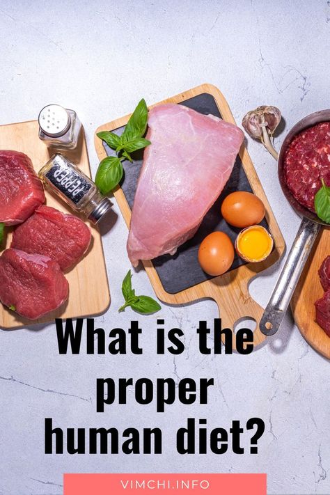 What is the Proper Human Diet Carnivore Diet Dr Ken Berry, Dr Ken Berry Keto Food List, Proper Human Diet Recipes, The Human Being Diet, Proper Human Diet, Human Being Diet, Dr Ken Berry Carnivore, Dr Ken Berry, Keto Carnivore