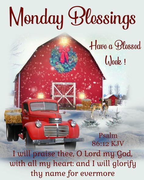 Good Morning Everyone, Happy Monday!! I pray that you have a safe, happy and blessed day. Merry Xmas Greetings, Good Night Blessings Quotes, Good Morning Christmas, Have A Blessed Week, Monday Christmas, Peace Scripture, Good Morning Happy Monday, Monday Blessings, Xmas Greetings