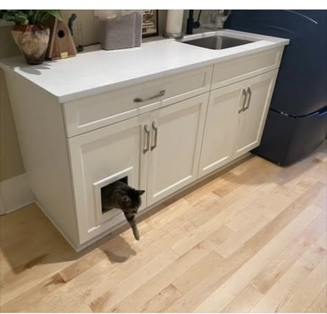 Litterbox Cabinet Laundry Room, Built In Cat Litter Cabinet In Laundry Room, Litter Box Cabinet Laundry Rooms, Built In Litter Box Laundry Room, Laundry Room With Litter Box Ideas, Laundry Room With Cat Litter, Built In Cat Litter Cabinet, Kitchen Cabinets Design Layout, Water Iris