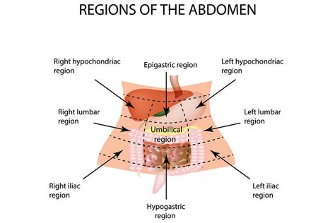 Lung Sounds, Tricuspid Valve, Breath Sounds, Nursing Assessment, Mitral Valve, Heart Sounds, Abdominal Surgery, Nursing Notes, Medical Knowledge