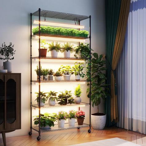 Best grow lights