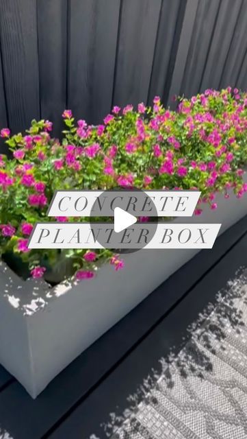 Kim Woodward | DIY & Home on Instagram: "Check out these easy to build faux cement planters 🌺. I love the look of cement planters but they are crazy expensive so I built my own. I already had the wood boxes from another project so decided to spruce them up with cement board and cement covering. After it dries I gave it a light sand. I didn’t want it too rough or too smooth just textured enough. I did also spray some waterproof cement sealer too for added protection. I have 5 more wooden boxes left and will be transforming them all with this method. ❤️Live how they turned out. 🌺🌺🌺🌺. #planter #planterbox #diyhousetohome #concreteplanter #concreteplanters #diygarden #landscapeinspiration #landscaping #flowers" Concrete Planter Ideas Outdoor, Planter Box Gardens, Cheap Planter Ideas Diy, Concrete Planters Front Porch, Cement Planter Boxes, Styrofoam Planter Boxes, Tiled Planter Boxes, Easy Diy Planter Boxes, Diy Cinder Block Planter