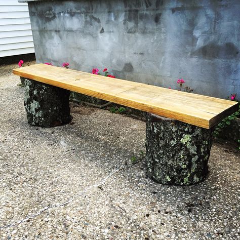 Wood Stump Bench Outdoor Seating, Stump Benches Diy, Upcycled Tree Stumps, Tree Stump Bench Ideas, Bench Made From Tree Trunk, Wood Log Bench, Diy Tree Stump Ideas, Tree Stump Bench, Tree Trunk Bench