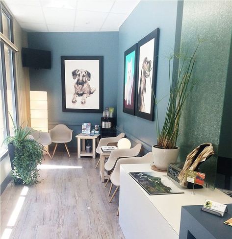 Vet Office Decor, Pet Store Design, Waiting Room Design, Vet Office, Dental Office Design Interiors, Lobby Decor, Medical Office Design, Hospital Interior, Clinic Interior Design