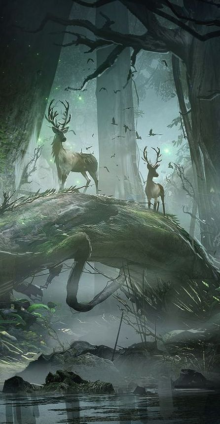 A place where the deer roamed as if always waiting for something to happen and the birds would fly from tree to tree, hoping to not be seen... Deer In The Woods, Creature Fantasy, Fantasy Forest, 다크 판타지, Fantasy Setting, Fantasy Places, Arte Fantasy, 판타지 아트, Fantasy Inspiration