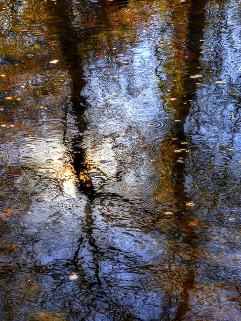 Painting Water Reflections, Water Reflections Art, Painting Reflections In Water, Water Reflection Art, Tree Reflections In Water, Autumn Abstract, Abstract Artwork Painting, Forest Reflection In Water, Water Abstract