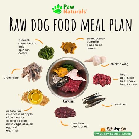 Adding #raw foods to your pet's #diet, helps them have a #strong immune system & better #dentalhealth! It's packed with #vitamins & minerals boosting the immune system & chewing on raw bones & meats keep teeth cleaner & stronger😍😻🐶https://bit.ly/3IGlZYM 
#dog #cat #nutrition Dog Raw Diet, Raw Feeding For Dogs, Beef Kidney, Raw Dog Food Diet, Strong Immune System, Beef Tongue, Cat Nutrition, Beef Cheeks, Raw Foods