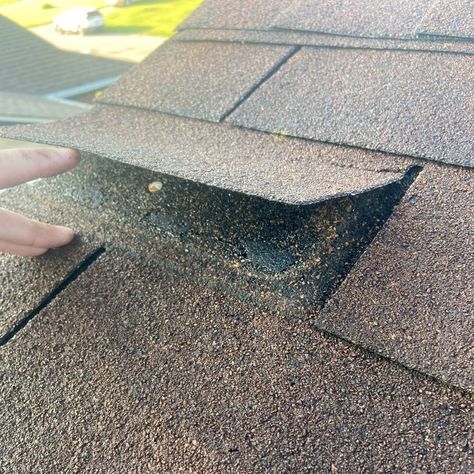 Common problems such as shingle lifts & leaky storm-damaged roofs are things we see with commercial & residential properties in the area. After every severe storm that hits, make it a habit to check your roof! Keep track of any issues or problems you find & contact us to provide you with the best in storm damage repair 👍 Cleaning Roof Shingles, Roof Patch Repair, Roof Repair Diy, Metal Roof Leak Repair, Flat Roof Repair, Severe Storms, How To Dry Basil, Tile Floor, Roof