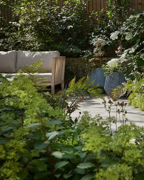 Stefano Marinaz | UK - NL on Instagram: "With what feels like summer finally kicking in, discover the perfect place to escape and unwind in our Cool and Calm project in North London.☀️🌿  👷🏻‍♂️🌿 @shootsandleaveslondon  📸🌿 @alistergthorpe   #SummerEscape #plantcommunities #stefanosgardens #gardensofinstagram #stefanomarinaz #landscapearchitecture #landscapedesign #gardenlife #gardeninspiration #instagarden #gardendesign #horticulture #gardens #gardener #garden #gardening #design #plants #flowerstagram #photooftheday #plantsofinstagram #outdoorliving #gardendesigner #instagardener #landscapedesigner #gardenersworld #gardenstyle #tuinontwerp #architecture" Stefano Marinaz, Diy Pathway, Diy Garden Landscaping, Garden Desig, Diy Water Fountain, Gravel Patio, Gardening Design, Feels Like Summer, Summer Escape