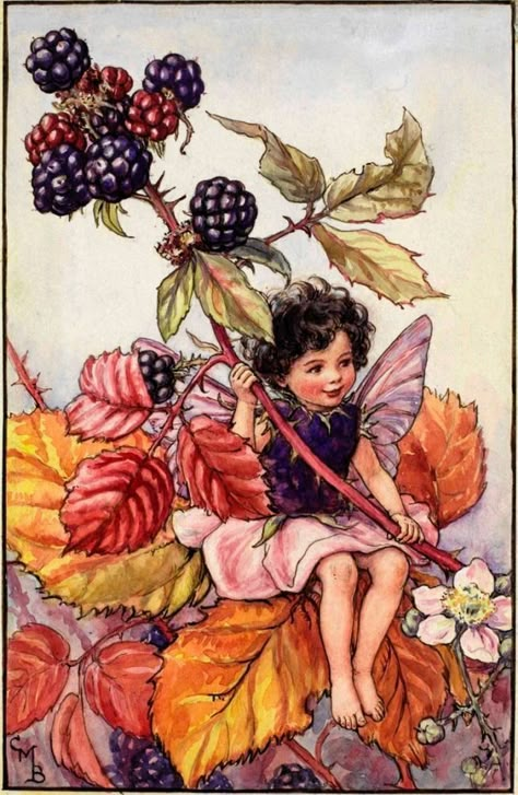 Flower Fairies Books, Fairy Illustration, Nature Art Prints, Fairy Pictures, Cicely Mary Barker, Fairy Artwork, Vintage Fairies, Fairy Book, Flower Fairies