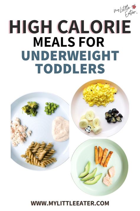 Vitamin Packed Meals, Fatty Foods For Toddlers, Toddler Nutrition Guide, High Calorie Meals For Toddlers, High Fat Snacks For Kids, High Calorie Snacks For Toddlers, High Calorie Toddler Snacks, High Fat Toddler Food, High Fat Foods For Toddlers