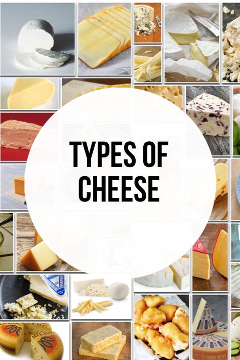 Different Type Of Cheese, Cheese Names, Ancient Food, Different Types Of Cheese, Spreadable Cheese, Cow Cheese, Gouda Cheese, White Cheese, Cheese Curds