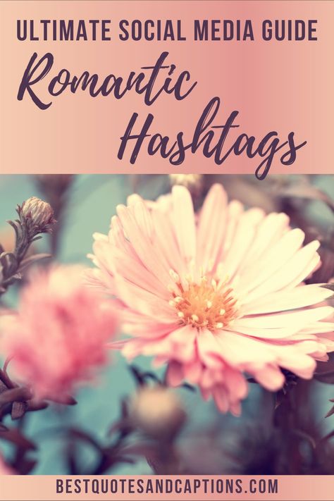 A photo with your partner paired with the most romantic caption you can ever think of, here are some tips and tricks you can use to ramp up your social media post with these romance hashtags. #romance #hashtags #romantic Love Hashtags, Hashtag Ideas, Hashtag Generator, Pinterest Hashtags, How To Use Hashtags, Social Media Guide, Trending Hashtags, Instagram Games, Cute Romance