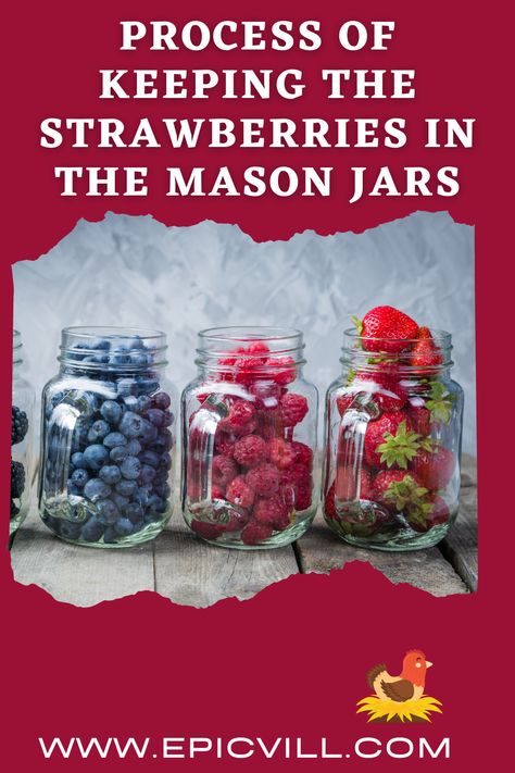 Now as you have got knowledge about storing the strawberries, and also you have got the mason jars as well. You just need to follow some of the basic steps and you are good to go. Storing Strawberries In Mason Jar, Storing Fruit In Mason Jars, Storing Strawberries, Storing Berries, Simple Homestead, Jar Fruit, Homestead Tips, How To Store Strawberries, Homesteading Tips