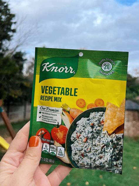 Knorrs Vegetable Mix Recipes, Knorr Vegetable Soup Mix Substitute, Knorr Vegetable Mix Copycat, Knorr Vegetable Soup Mix Recipes, Knorr Dip Recipes, Knorr Vegetable Mix Recipes, Knorr Vegetable Dip Recipe, Knorr Veggie Dip Recipe, Knorr Vegetable Dip