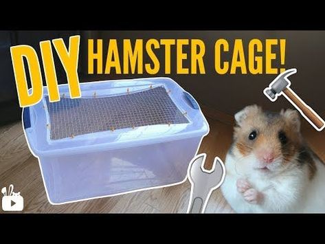 Diy Hamster Cage, Diy Hamster House, Kandang Hamster, Bin Cage, Hamster Bin Cage, Diy Hamster Toys, Hamster Diy Cage, Cool Hamster Cages, Cage Hamster