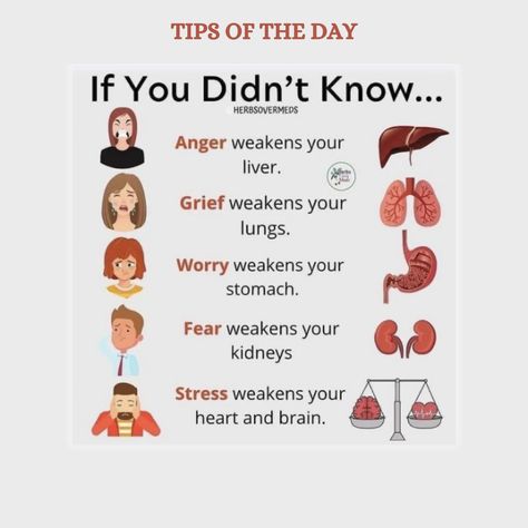 Mind Body Connection Illustration, Emotions Stored In Organs, Emotions In The Body Chart, Mind And Body Connection, Equalizer Settings, Health Quiz, Heart And Brain, Basic Anatomy And Physiology, Body Connection