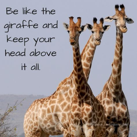 Be like the giraffe and keep your head above it all! #positivethoughts #believeinyourself #yougotthis #usborneachieversteam #bebold #achieve #makeadifference #impactliteracy #childrensbooks #wahm #momlife #lifewithkids #thankateacher #usborneusa #giraffe Giraffe Quotes Inspiration, Giraffe Meaning, Giraffe House, Giraffe Quotes, Giraffe Room, Giraffe Pictures, Iphone Wallpaper Lights, Good Morning Sunshine Quotes, Nonfiction Reading