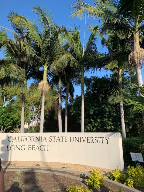 Long Beach College, Long Beach University California, Colleges In California, Cal State Long Beach Aesthetic, Long Beach State University, Csulb Aesthetic, Long Beach California Aesthetic, Csulb Campus, Hawaii State University