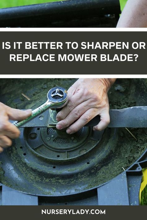 Sharpen or replace mower blade -
Mower blade maintenance -
Lawn care tips -
Blade sharpening vs replacement -
Lawn equipment upkeep -
Mower performance tips -
Blade care guide -
Lawn maintenance advice -
Mower blade options -
DIY lawnmower tips -
Efficient mower care -
Blade maintenance decisions -
Lawn equipment tips -
Mower blade longevity -
Optimal mower performance - Sharpen Lawn Mower Blades, Lawn Mower Maintenance, Lawn Mower Blade, Lawn Mower Blades, Blade Sharpening, Lawn Mowers, Pros And Cons, Lawn Care, Lawn Mower