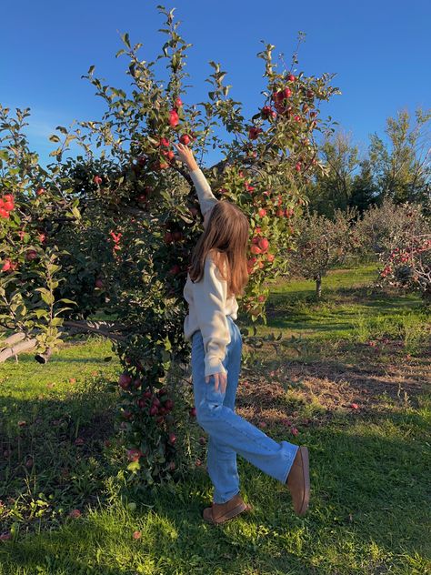 apple orchard photo shoot pumpkin sweaters idea Poses For Pictures Instagram Pumpkin Patch, Apple Picking Inspo Pics, Apple Orchard Picture Ideas, Cute Apple Picking Photos, Apple Orchard Poses, Apple Hill Photoshoot, Fall Apple Orchard Photo Shoot, Pumpkin Patch Photoshoot Ideas, Apple Picking Poses