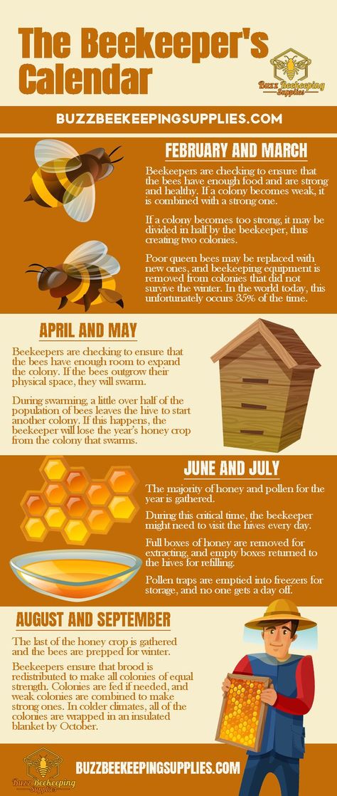 Beekeeping Calendar, Beekeeping Garden, Diy Beekeeping, Apiary Design, Apiary Beekeeping, How To Start Beekeeping, Honey Bee Farming, Honey Bees Keeping, Bee Hives Diy