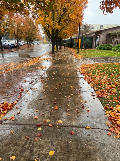 Autumn Rainy Days, Rainy October Day, Rainy Fall Weather, Autumn Weather Aesthetic, Summer Into Fall Aesthetic, Rainy Halloween Aesthetic, Rainy Walk Aesthetic, Rainy Fall Day Autumn Rain, Autumn Cozy Rainy Days