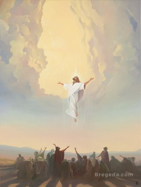 Resurection Jesus Art, Jesus Ascending Into Heaven, Ascension Day Of Jesus Christ, Gospel Pictures, Jesus Christ Wallpaper, Paintings Of Jesus, Jesus In Heaven, Jesus Ascension, Jesus Art Paintings