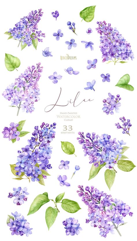 Lilac Tattoo, Lilac Watercolor, Lilac Painting, Card Png, Watercolor Bouquet, Floral Branch, Flowers Watercolor, Floral Elements, Lilac Flowers