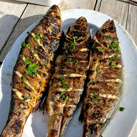 Grilled Fish Salad, Greek Grilled Fish, Greek Seafood Dishes, Oven Grilled Fish Recipes, Mediterranean Grilled Fish, Grilled Fish Aesthetic, Japanese Grilled Fish, Greek Fish Recipes, Grilled Menu