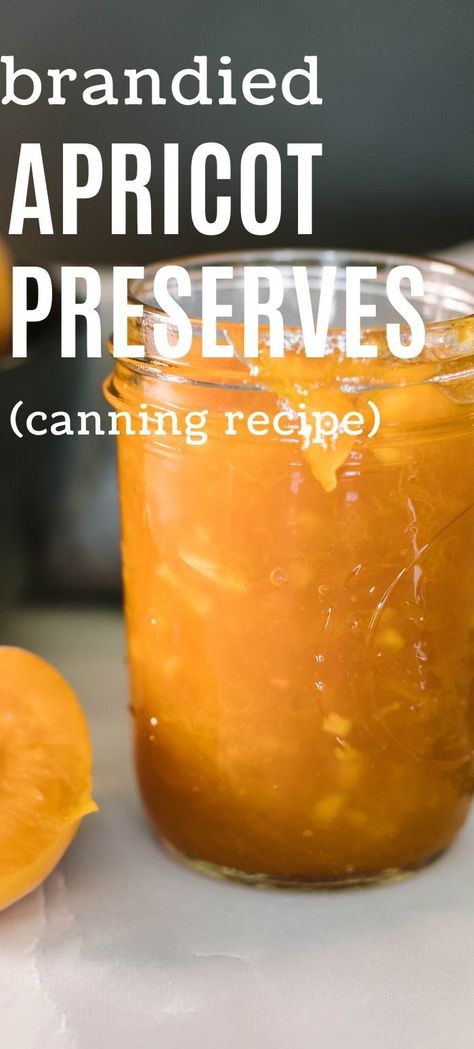 Canning Apricots, Apricot Preserves Recipe, Apricot Preserves, Canning Recipe, Apricot Jam, Nature's Bounty, Food Preservation, Preserving Food, Canning Recipes