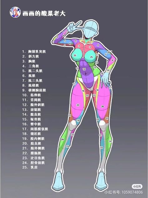 Female Proportions, Model Training, Female Anatomy Reference, Arte Doodle, Standing Pose, Anatomy Tutorial, Human Anatomy Drawing, Images Kawaii, Human Figure Drawing