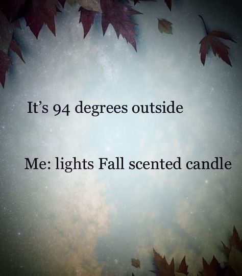 Fall Humor, Fall Boards, Fall Candle Scents, Autumn Magic, Autumn Quotes, Fall Scents, Fabulous Fall, Fall Feels, Happy Fall Y'all