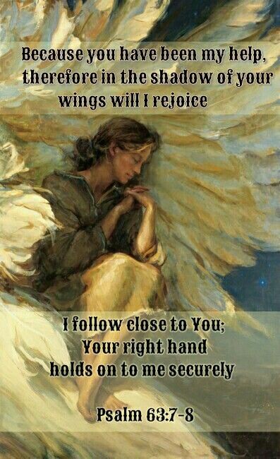 In The Shadow Of Your Wings, Psalm 63:7-8, Praying Friends, Psalms 63, Praying For Friends, Psalm 63, Psalms 91, Bible Verses Kjv, Shadow Of The Almighty