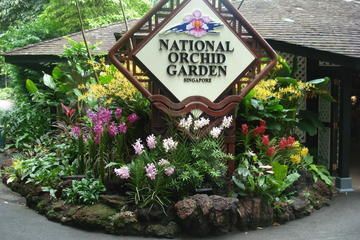 The 5 Best Singapore Botanical Garden & National Orchid Garden Tours, Trips & Tickets - Singapore | Viator Singapore Orchid, Singapore Attractions, Holiday In Singapore, Singapore Garden, Singapore Botanic Gardens, Orchid Garden, Orchids Garden, Singapore Travel, Garden Park