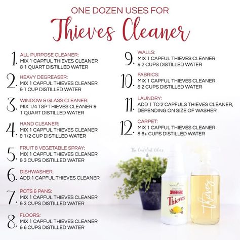 thieves household cleaner Thieves Household Cleaner Recipe, Thieves Cleaner Recipe, Natural Cleaner, Thieves Cleaner, Thieves Household Cleaner, Thieves Essential Oil, Essential Oils 101, Essential Oil Diffuser Blends Recipes, Young Living Essential Oils Recipes