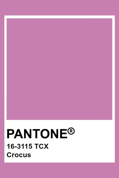 PANTONE 16-3115 TCX Crocus #pantone #color #orchid Orchid Color Palette, Plum Paint Colors, Pantone Shades, Pink Pantone, Pantone Tcx, Purple Crocus, Pantone 2016, Pantone Color Chart, Pantone Swatches