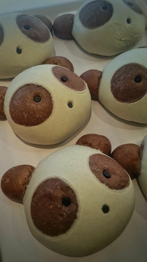 Panda Bread, Bakery Store, Artisan Bread, Cute Panda, Taiwan, Bread