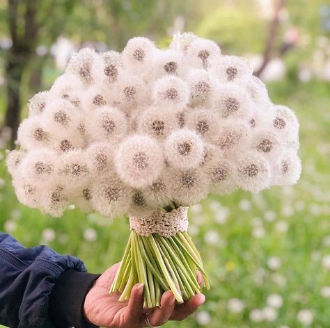 Bouquet Of Dandelions, Giant Bouquet, Dream Place, Dream Places, Future Wedding Plans, Pure Love, Garden Path, Travel Lover, Wedding Plans