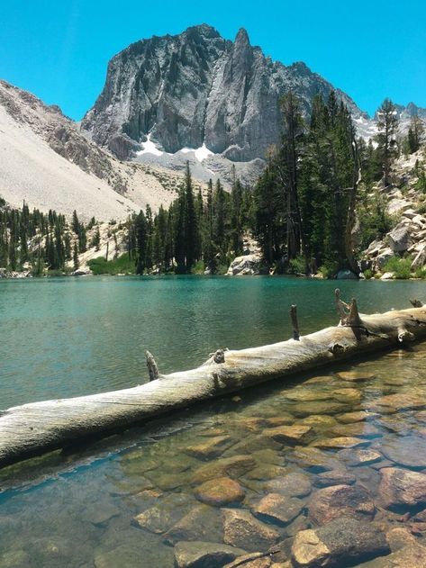 Big Pine North Fork, California Hike | Inyo National Forest // Travel Break #california #visitcalifornia #hiking #inyo Hiking California, Eastern Sierras, West Coast Trail, California Hikes, Travel California, Mammoth Lakes, Colorado Hiking, California Travel Road Trips, Visit California