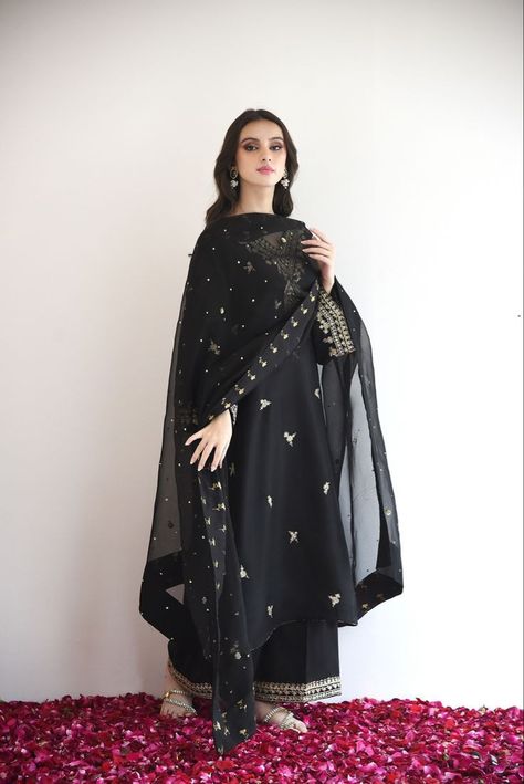 Black Dress Simple Design, Black Dress Pakistani Style Simple, Qawali Night Outfits Black, Black Kameez Design, Black Pakistani Outfit, Agha Noor Dresses 2023, Jewellery With Black Dress, Black Traditional Outfit, Black And Gold Suits