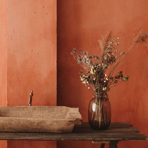 Best Interior Paint Colors, Terracotta Walls, Limewash Walls, Orange Paint Colors, Terracotta Paint, Best Interior Paint, Terracotta Wall, Orange Interior, Orange Paint